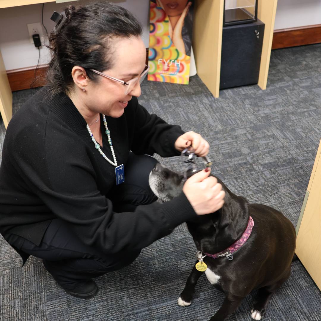 Animal eye exam at Amherst Eye Care
